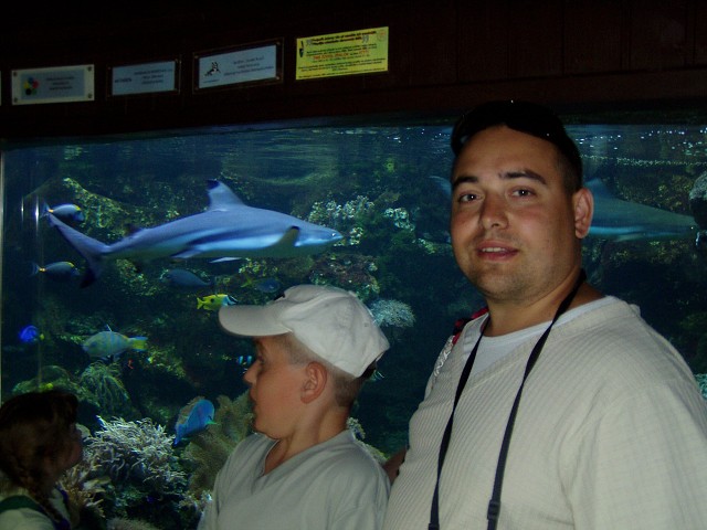 img00173.jpg