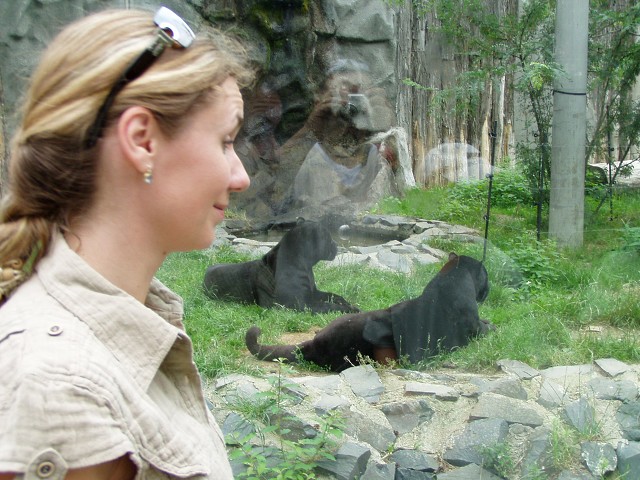 img00157.jpg