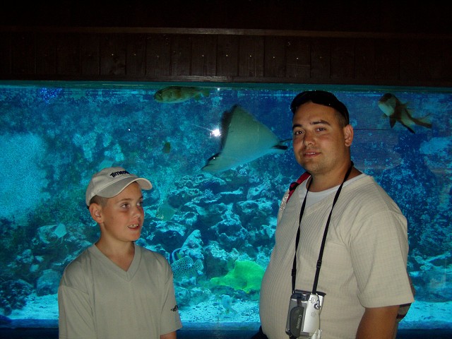 img00171.jpg